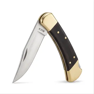 Buck 110 Folding Hunter