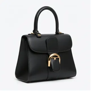 Delvaux Brillant Bag