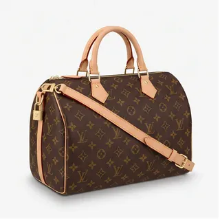 Louis Vuitton Speedy